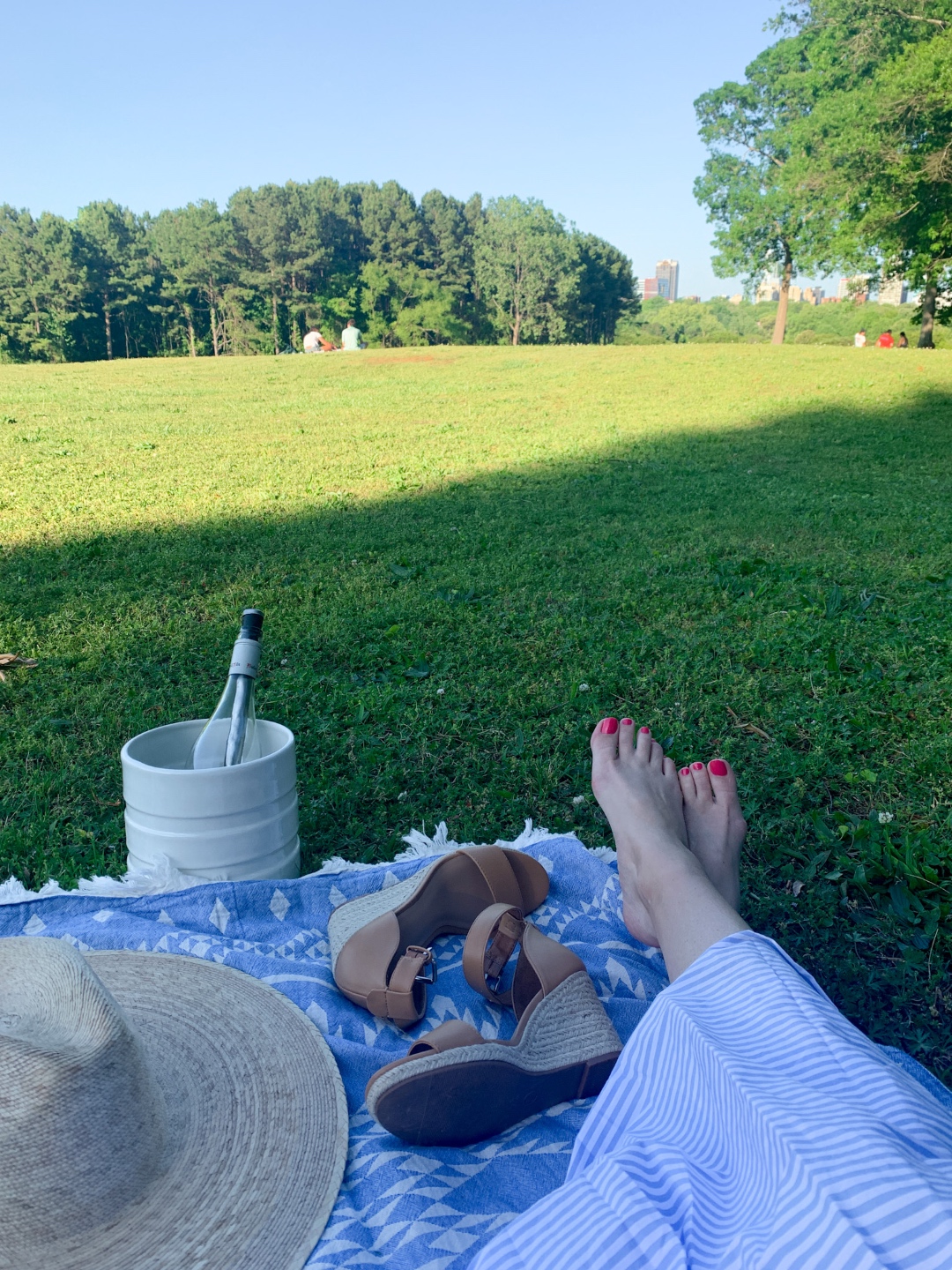 Dorothea Dix Park | My Perfect Saturday in Raleigh