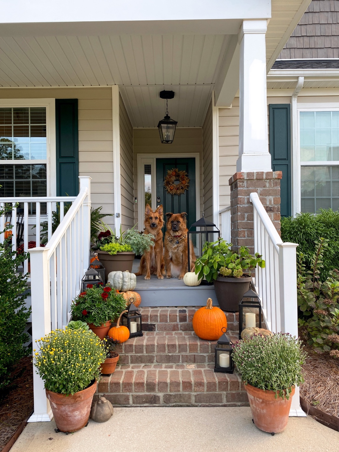 Fall Front Porch Decor in the ranch with two dogs