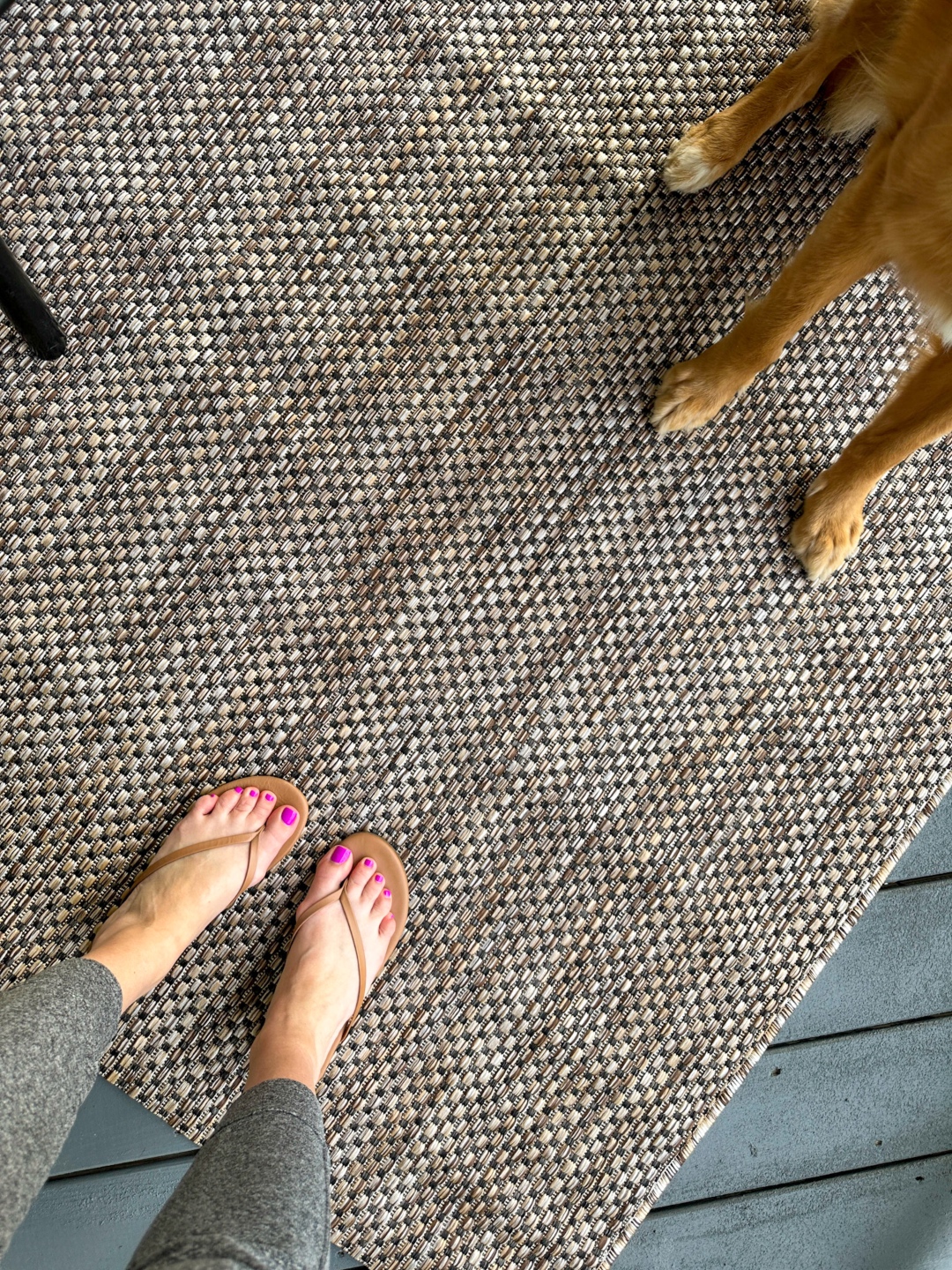 Meghan Grant showing her pink pedicure and her dog