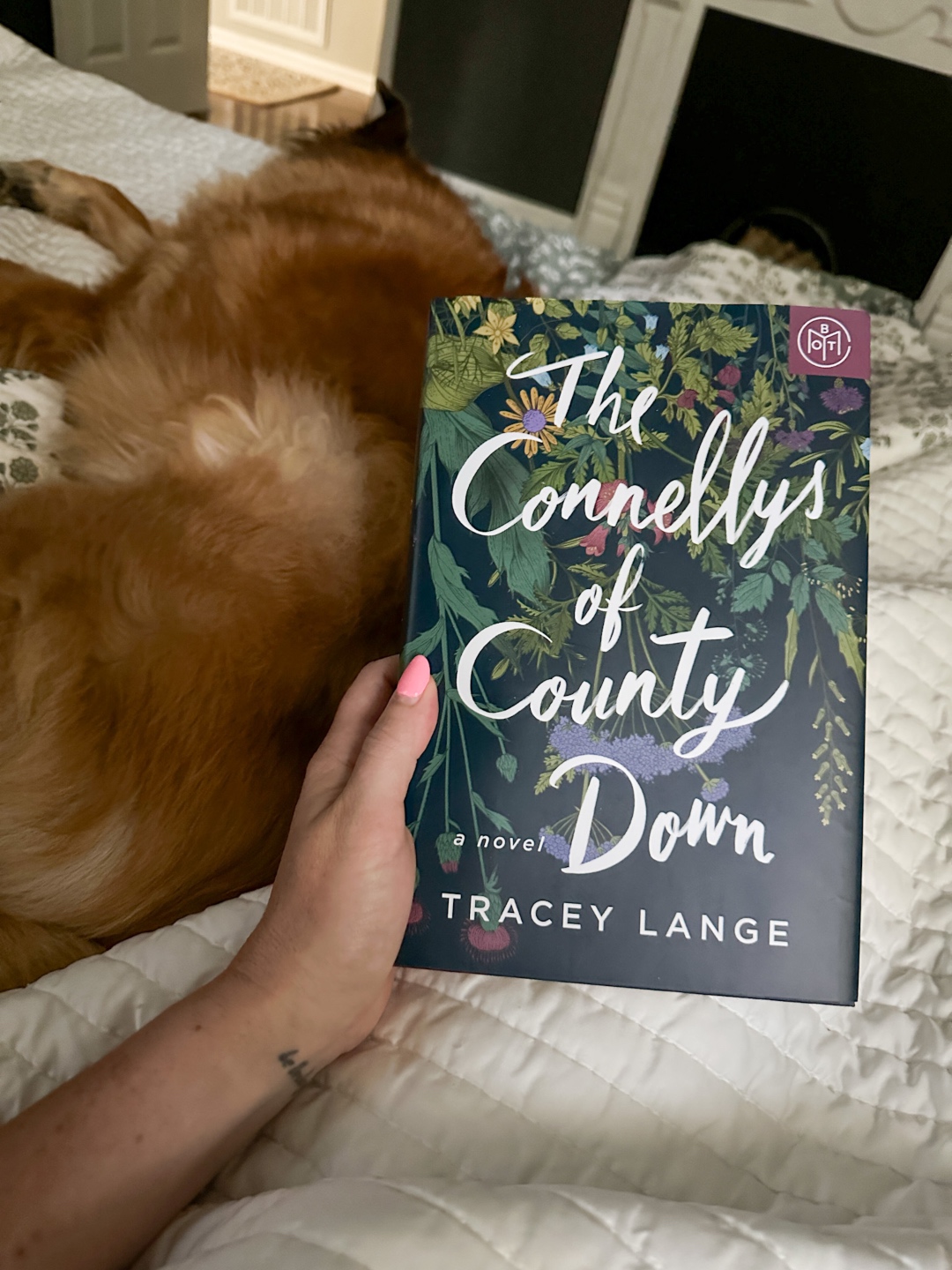 The Connellys of County Down 6 Books I Read in July 2023 - I'm Fixin' To - @imfixintoblog