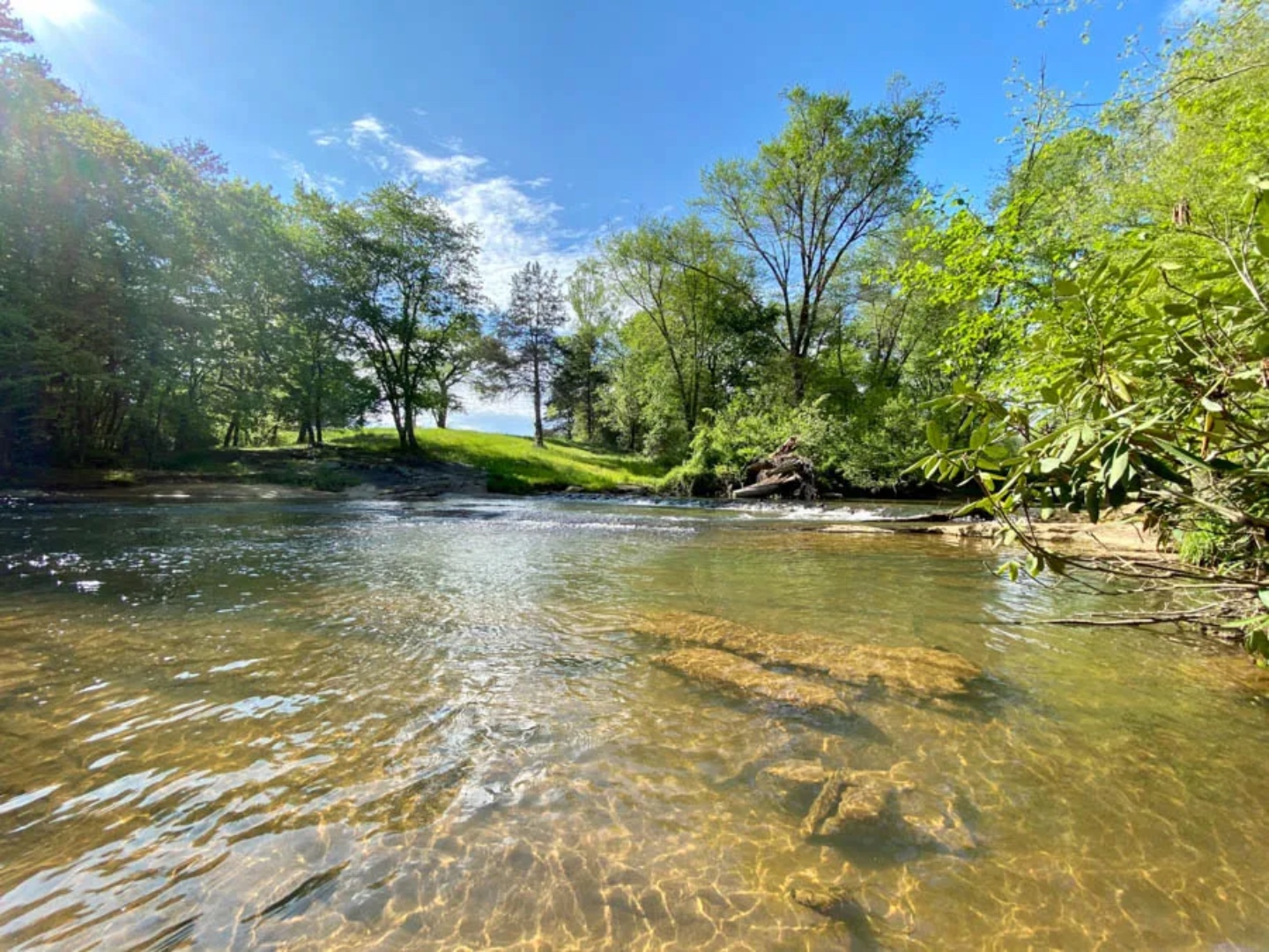 A Complete Guide to Surry County NC