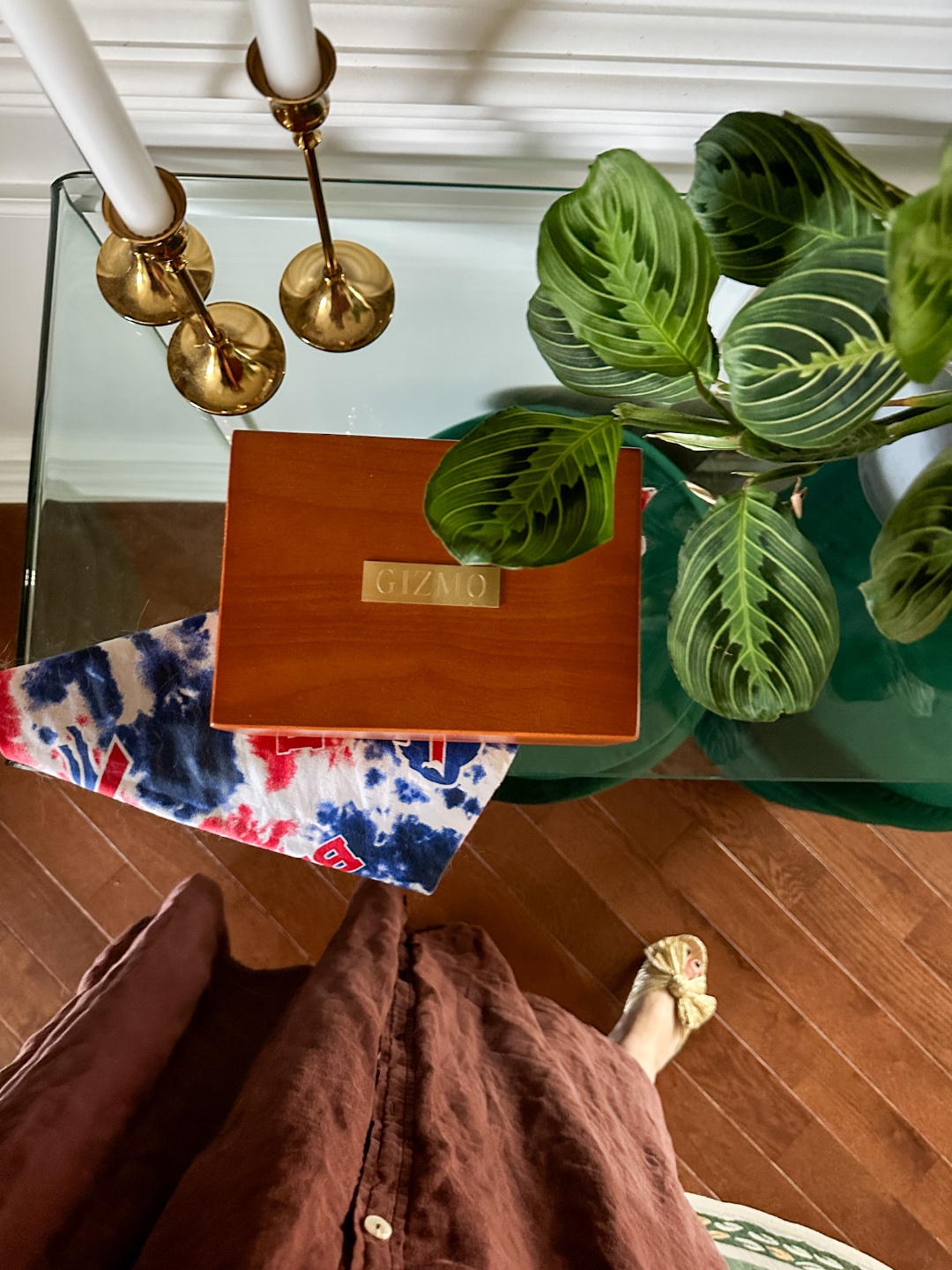 Foyer plant Foyer plant