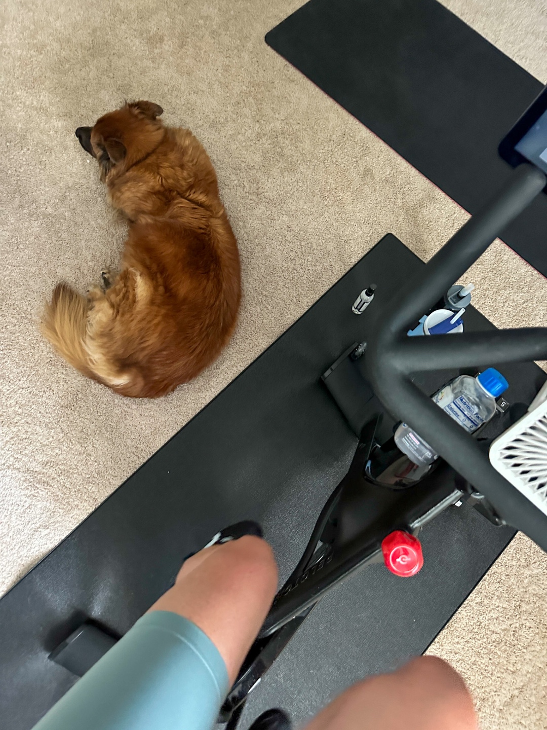 Is Buying a Peloton Bike Worth It? Is Buying a Peloton Bike Worth It?
