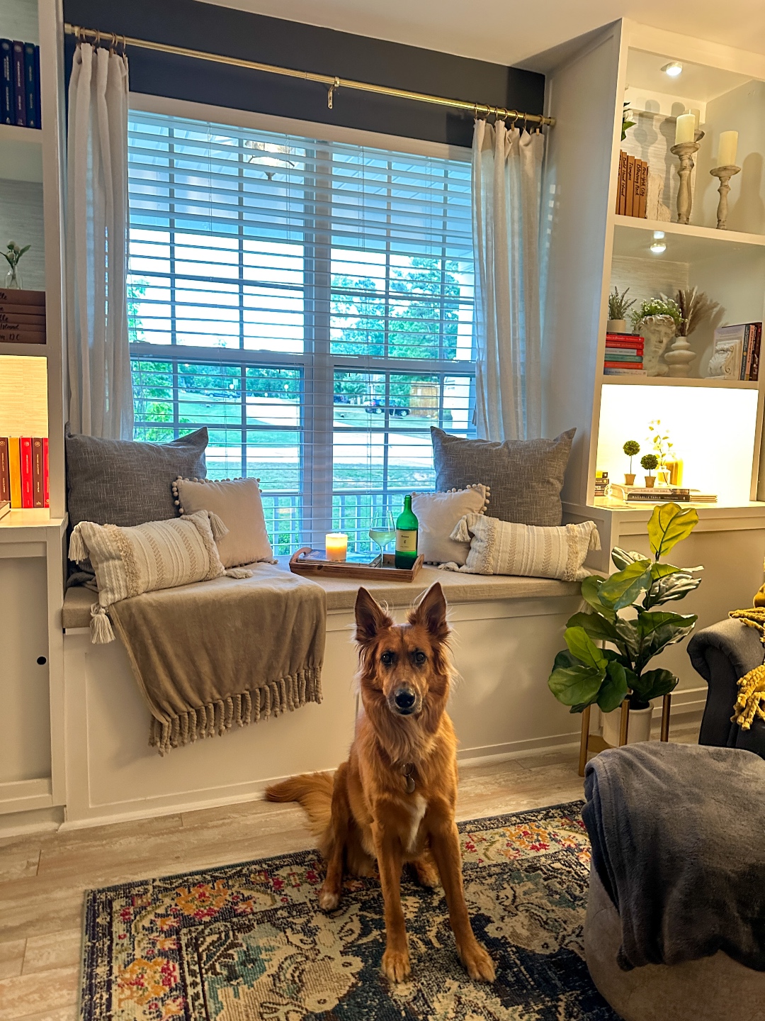dog living room Meghan 2023 Year in Review