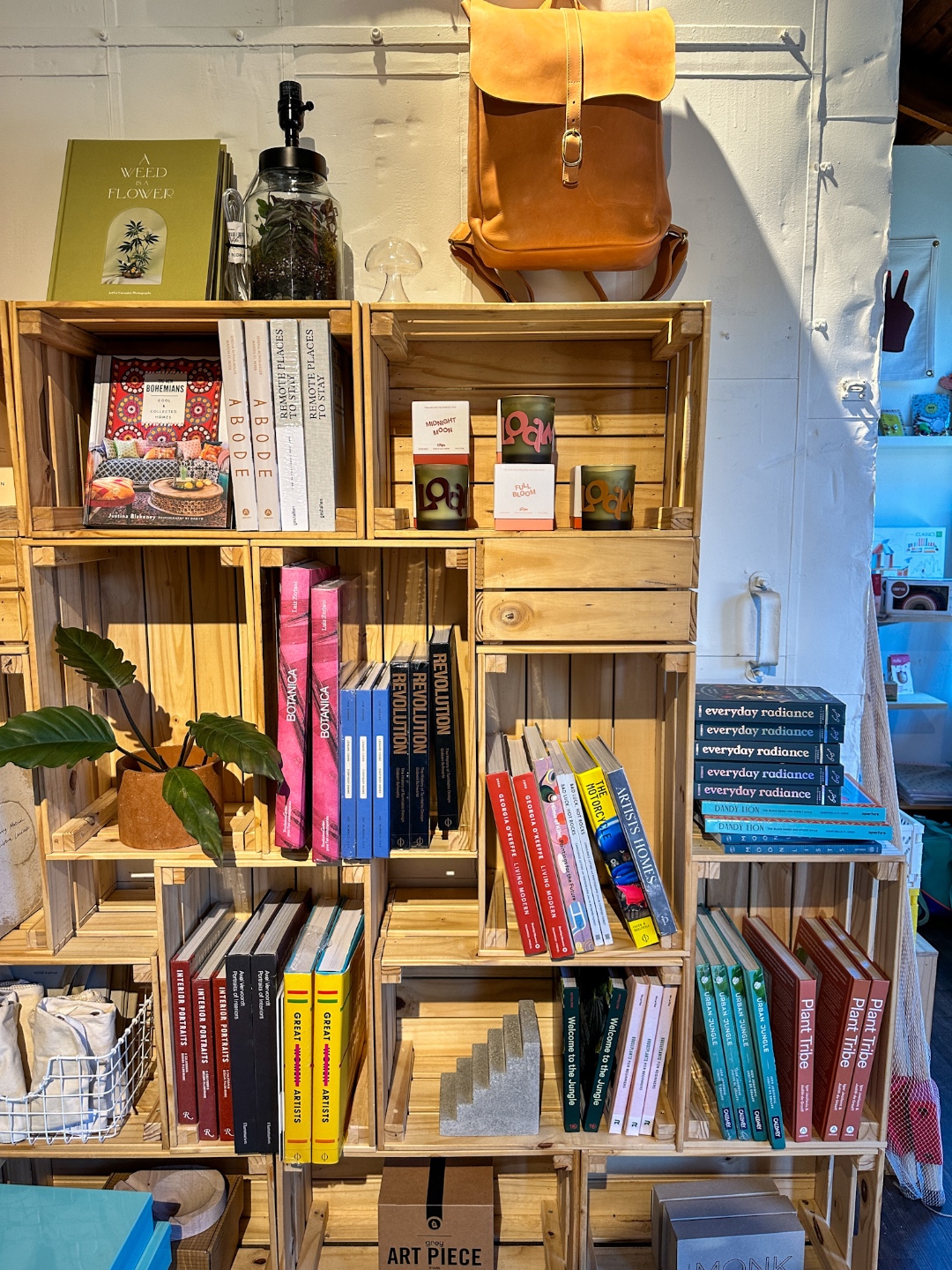 Charlotte book store Charlotte book store