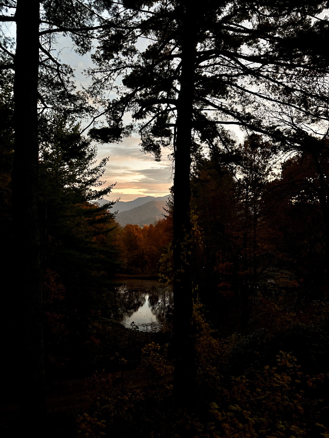 Burnsville NC trip