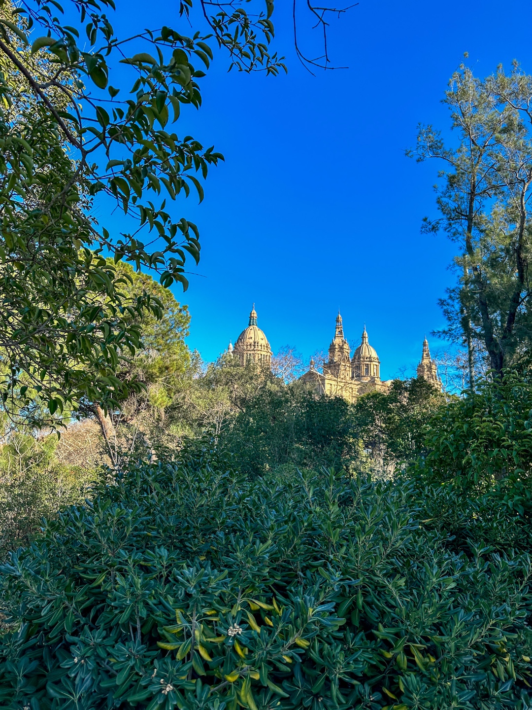Barcelona travel views