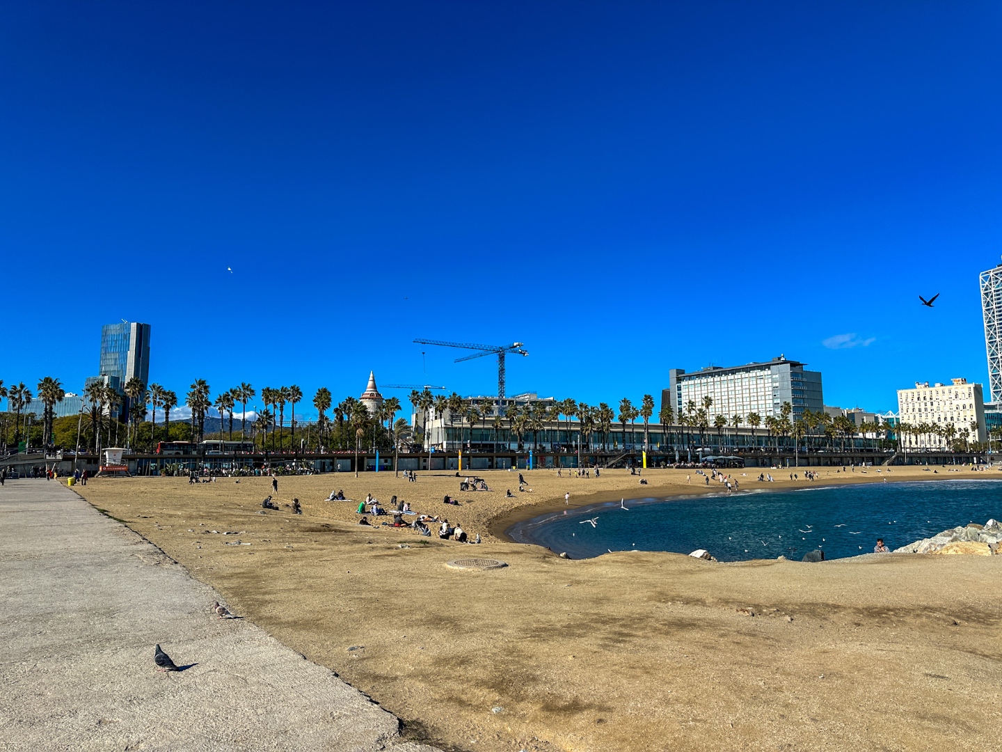 Barceloneta Beach