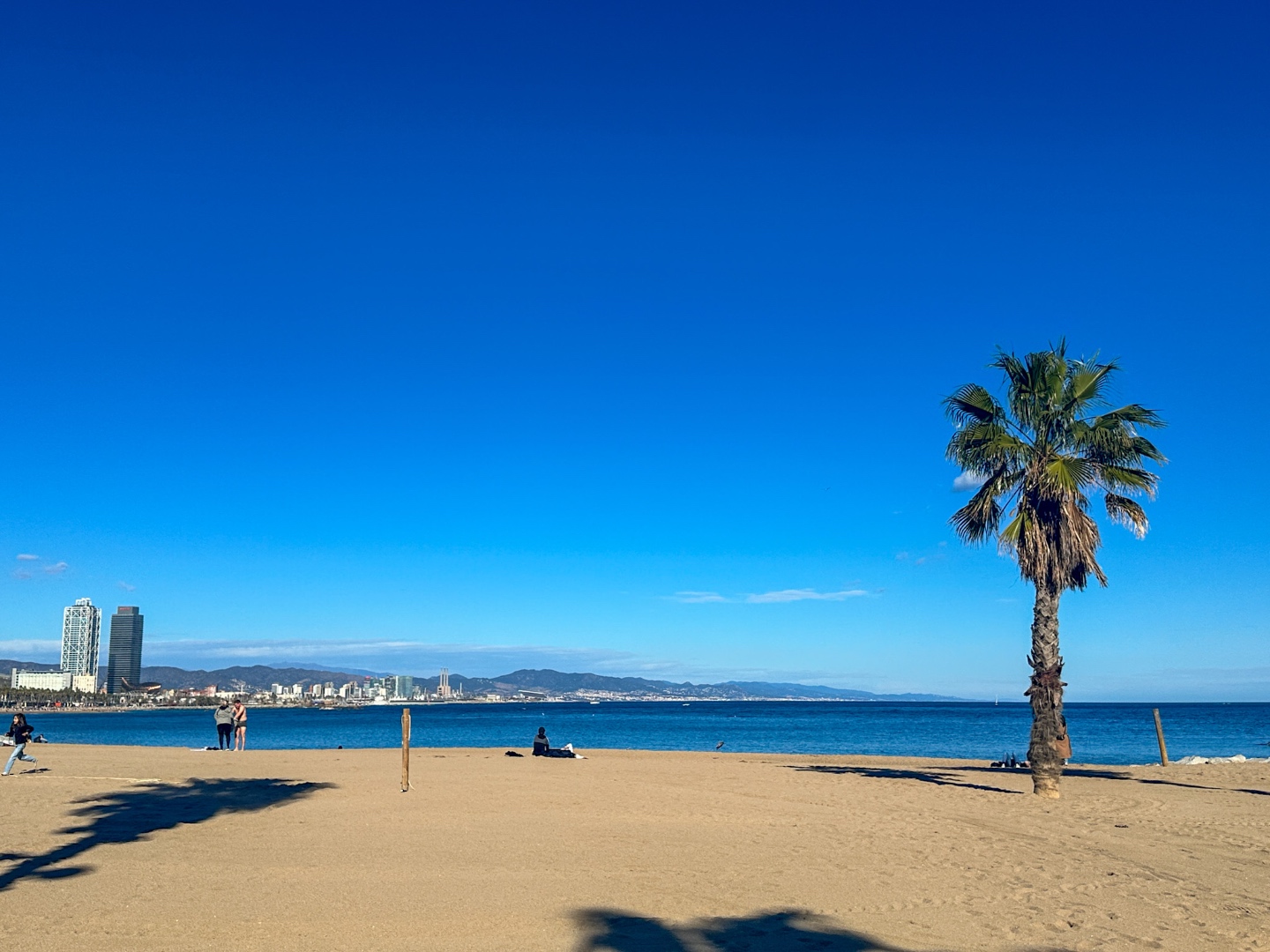 beach in Barcelona