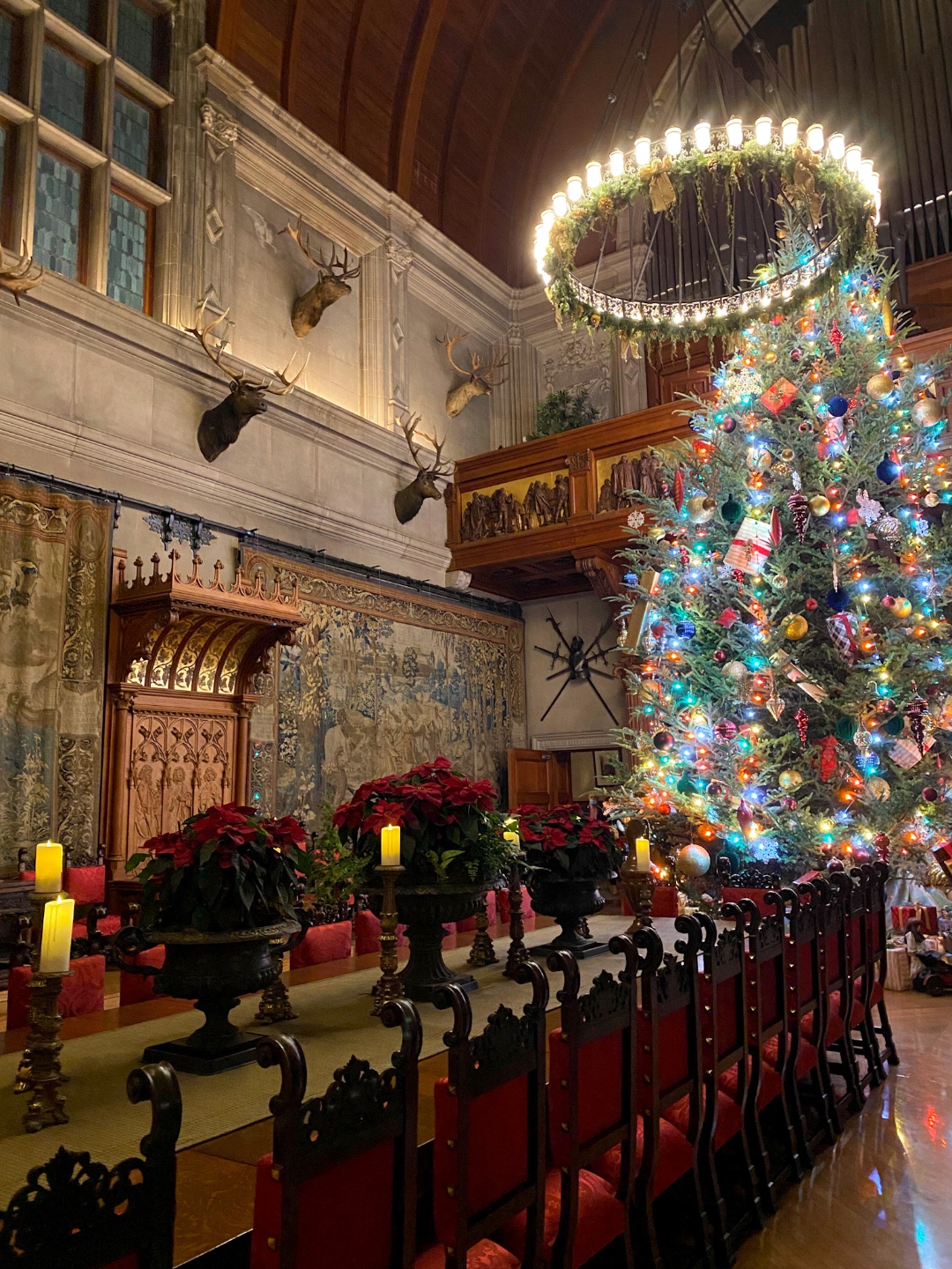 Biltmore Estate Christmas tree