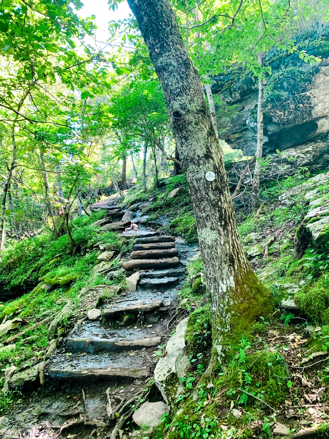 Hiking Asheville in Fall