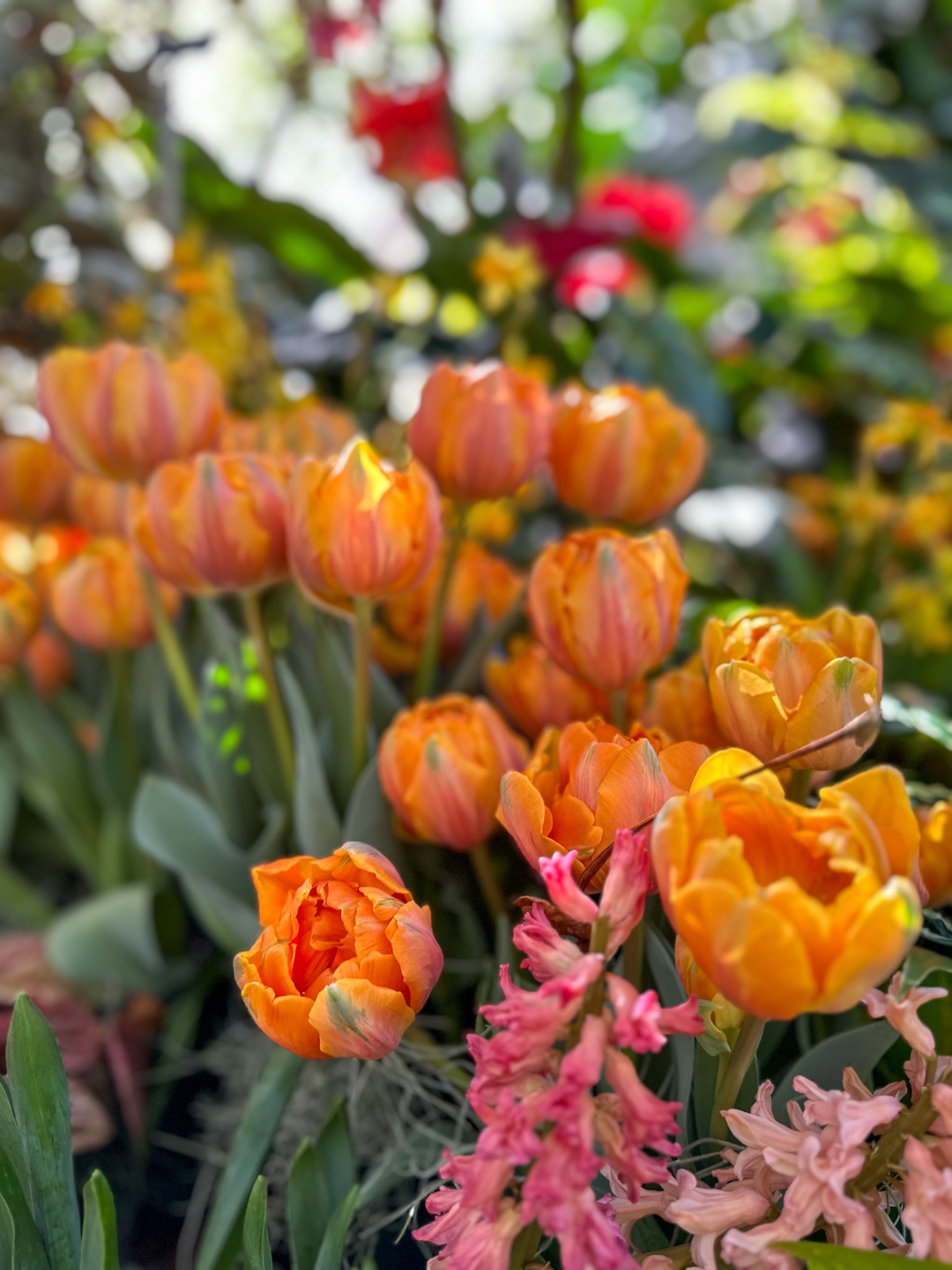 Best Time to Go to Asheville in spring