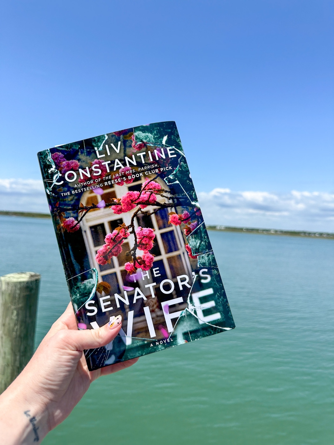 The Senator's Wife The Senator's Wife by Liz Constantine