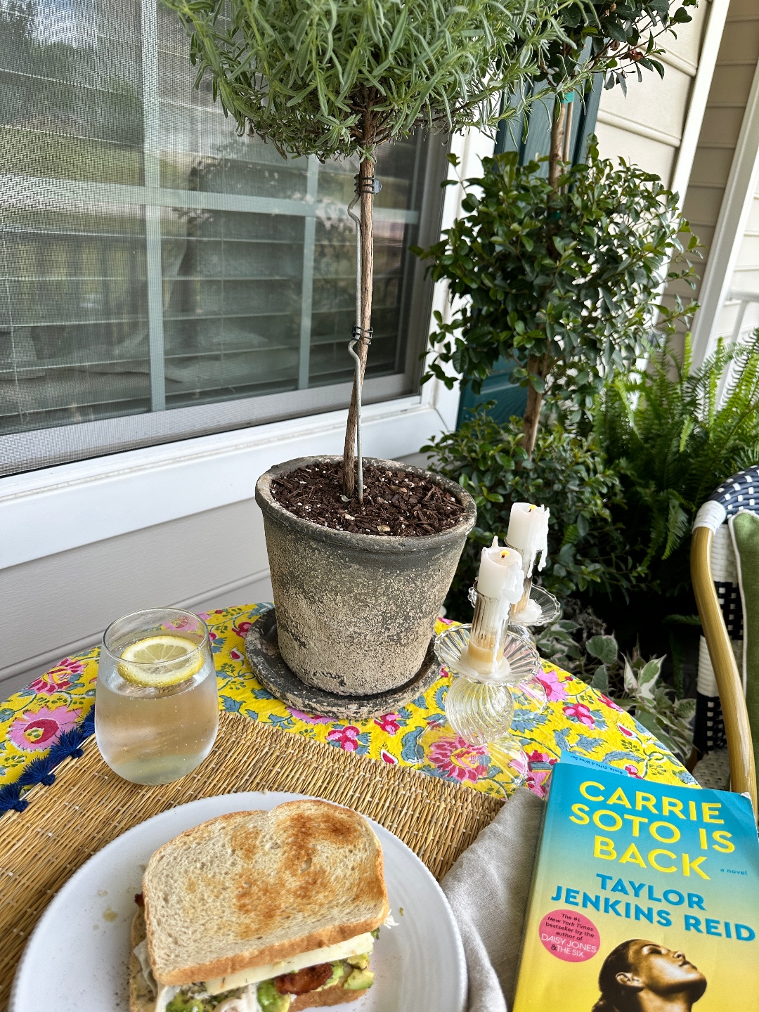 3 Books I Read in June 2024 - Carrie Soto is Back