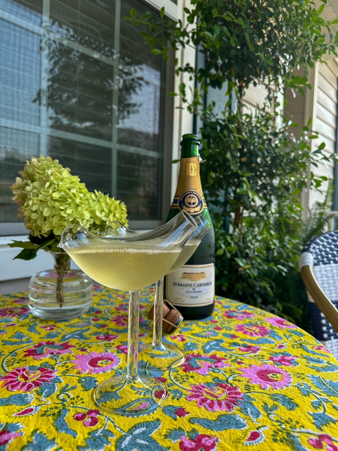 Bird Cocktail + Champagne Glasses