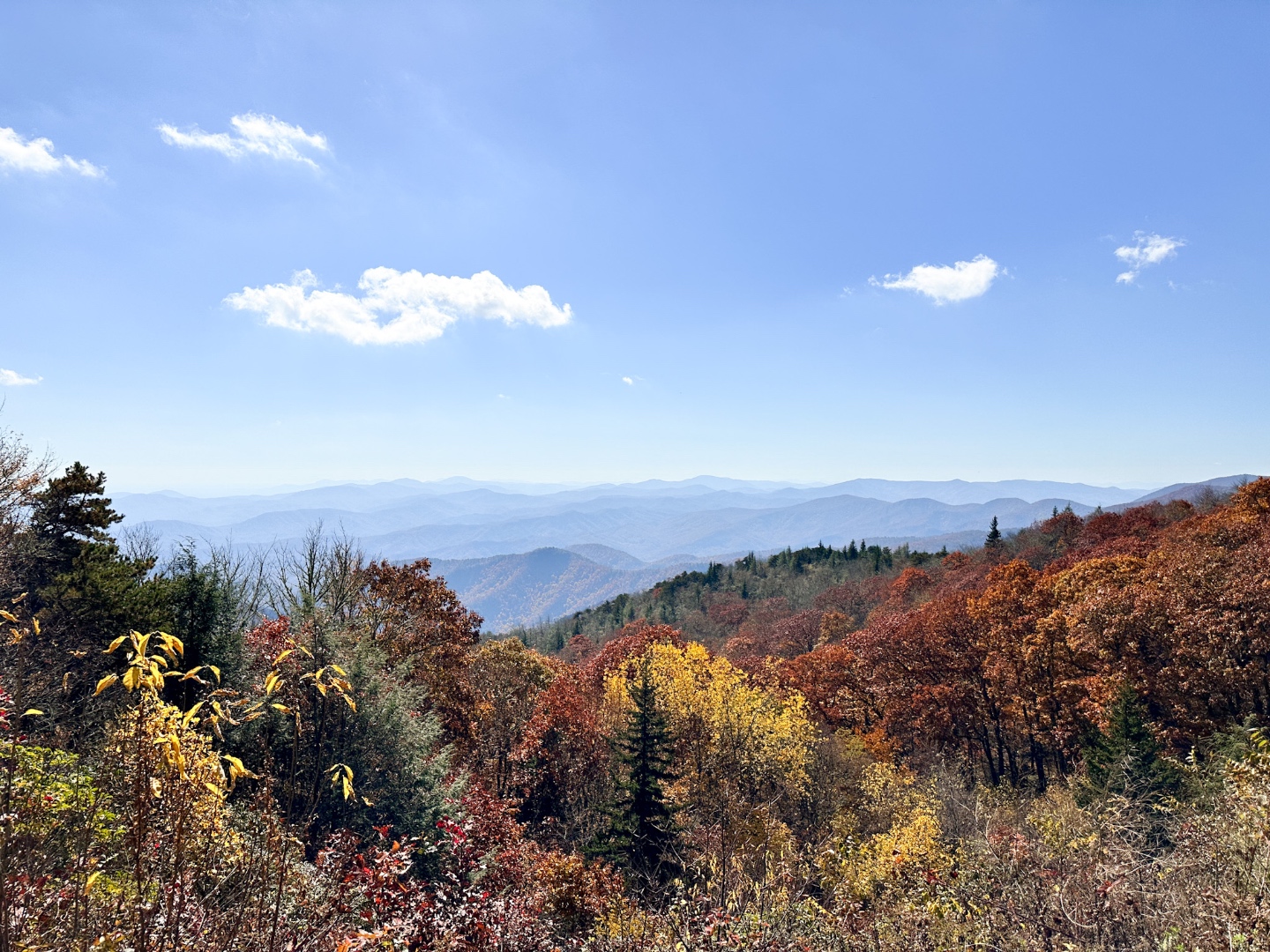 The Ultimate North Carolina Bucket List: Top 25+ Things to See and Do