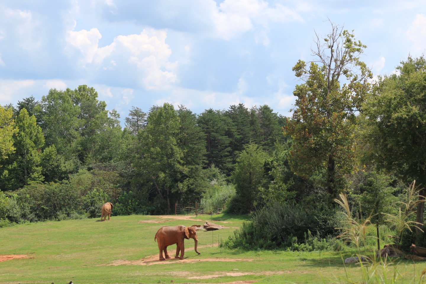 North Carolina Zoo