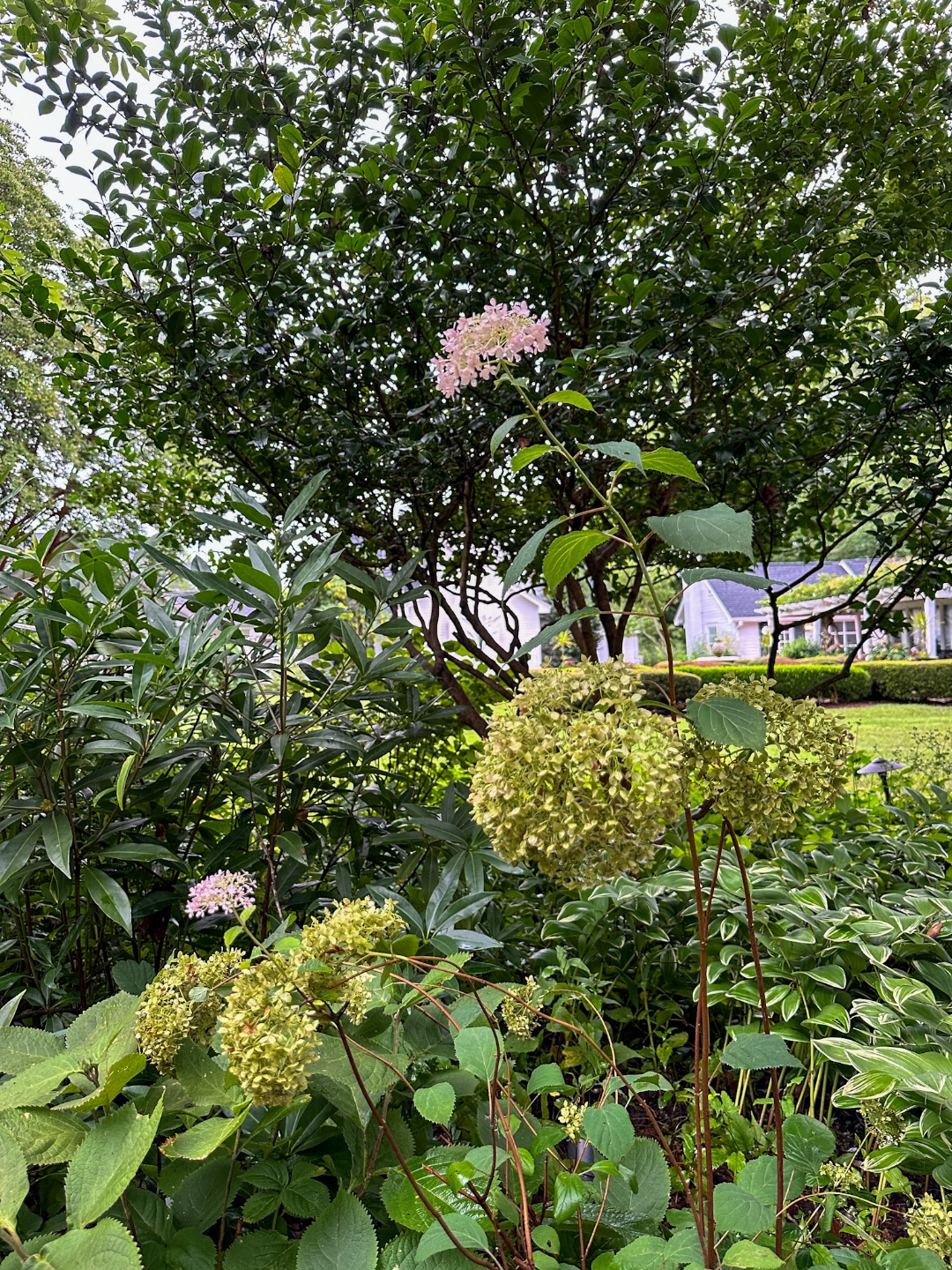 Fearrington gardens