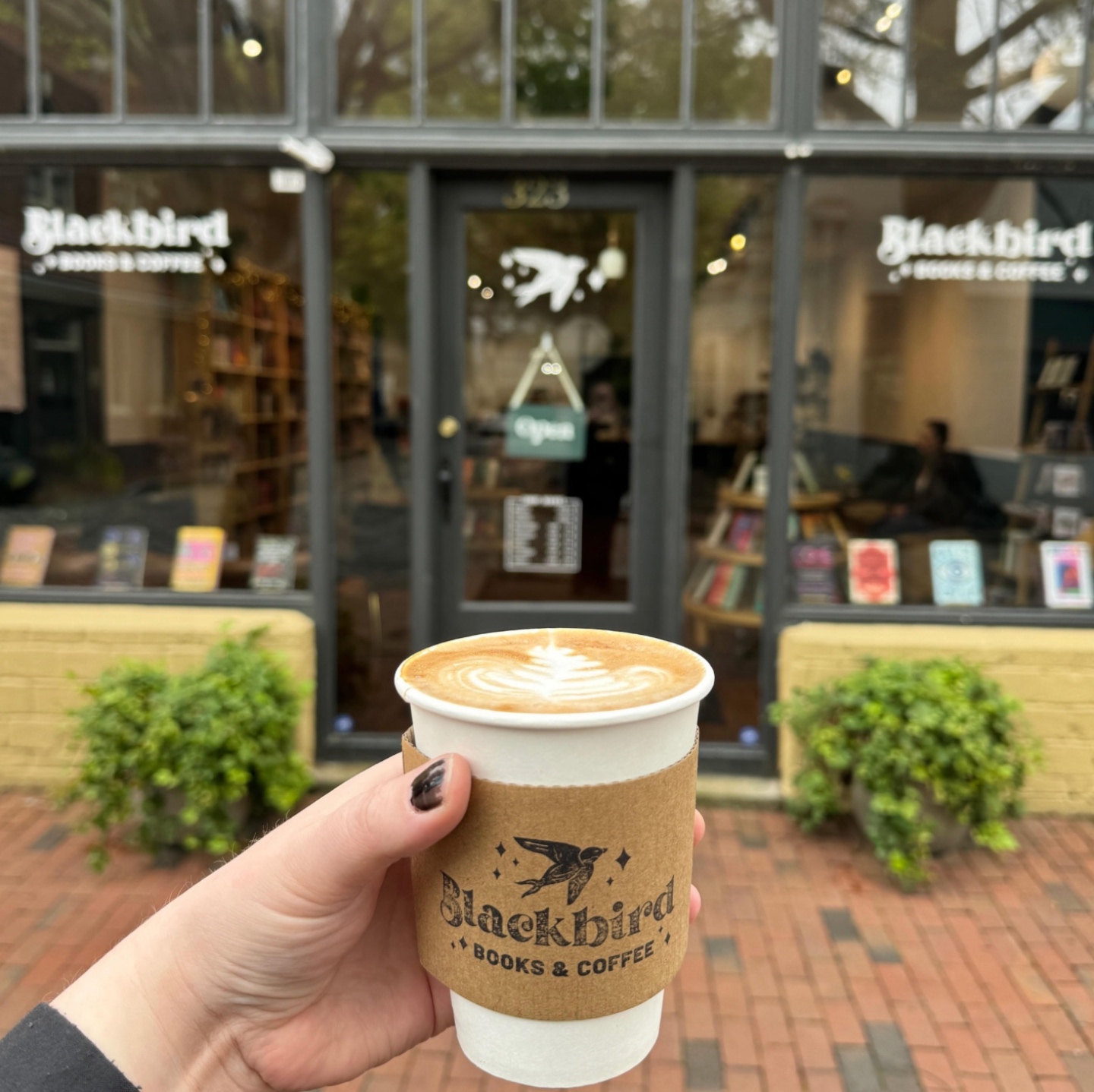 Blackbird Books and Coffee | Coffee Shops in Raleigh NC