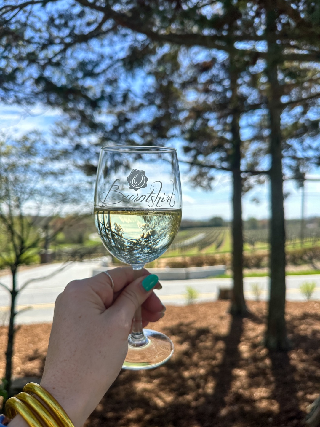 Burnshirt Vineyards | Guide to Western NC Wineries