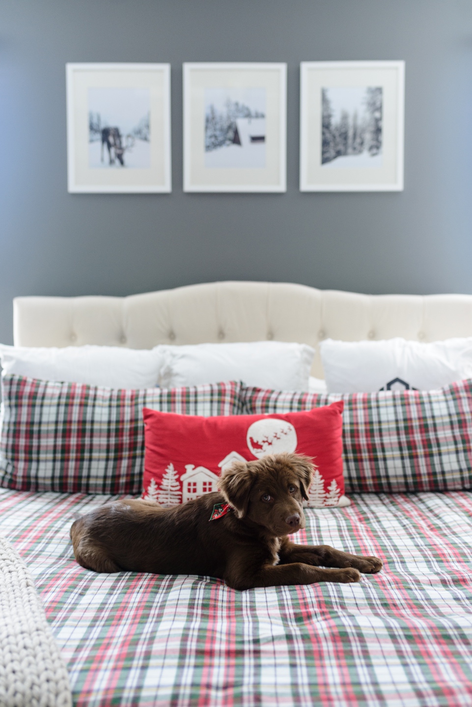 Primary Bedroom Holiday Home Primary Bedroom Holiday Home Tour