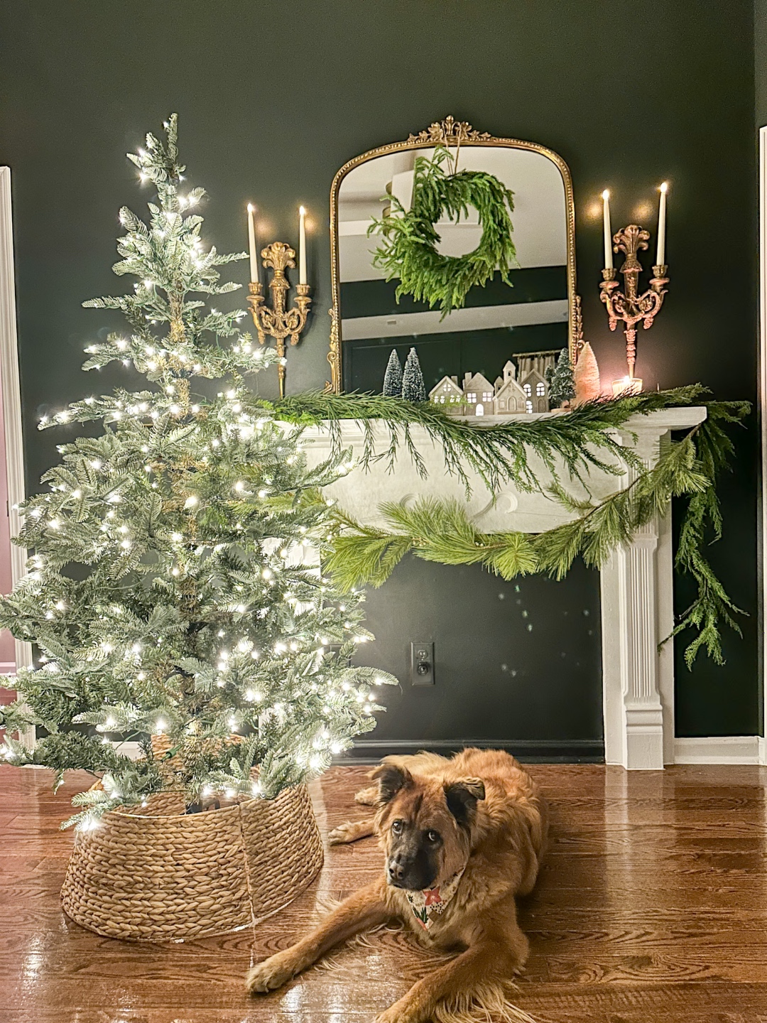 King of Christmas 6' Noble Fir