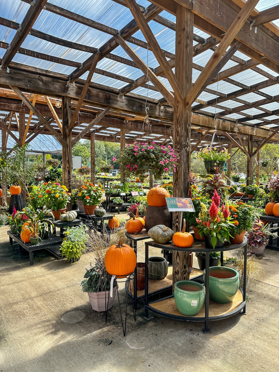 Fairview Garden Center fall Fairview Garden Center fall