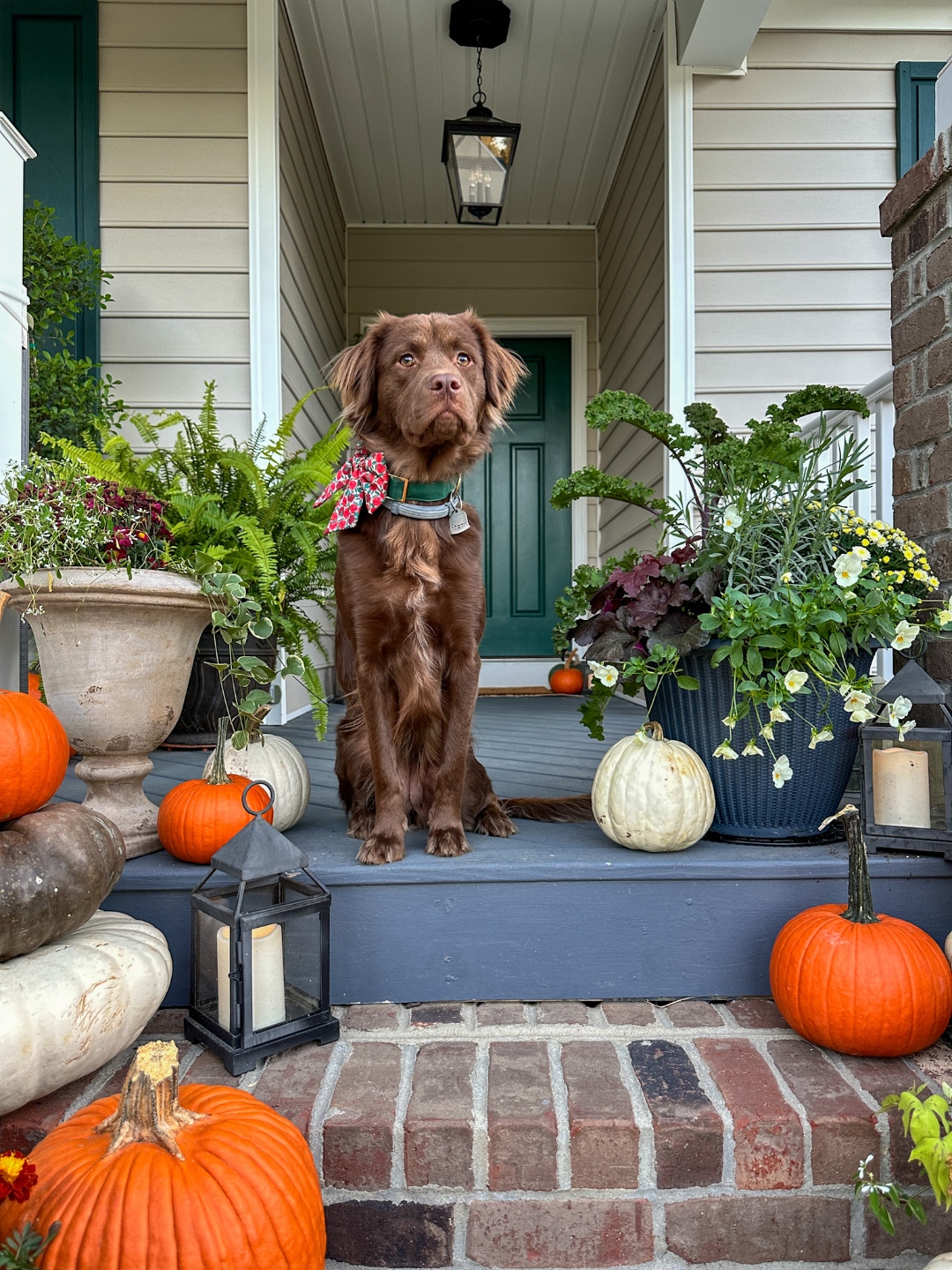 Fall Front Porch lanterns Fall Front Porch Tips with Fairview Garden Center