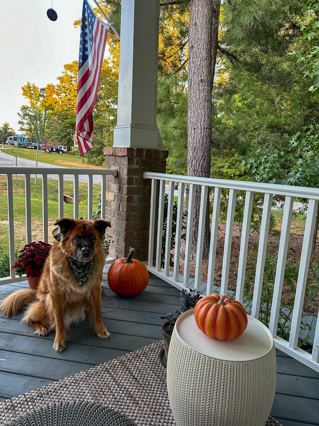 Fall Front Porch Fall Front Porch Tips with Fairview Garden Center
