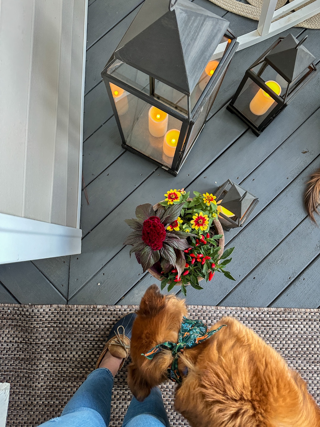 Fall Front Porch decor Fall Front Porch decor