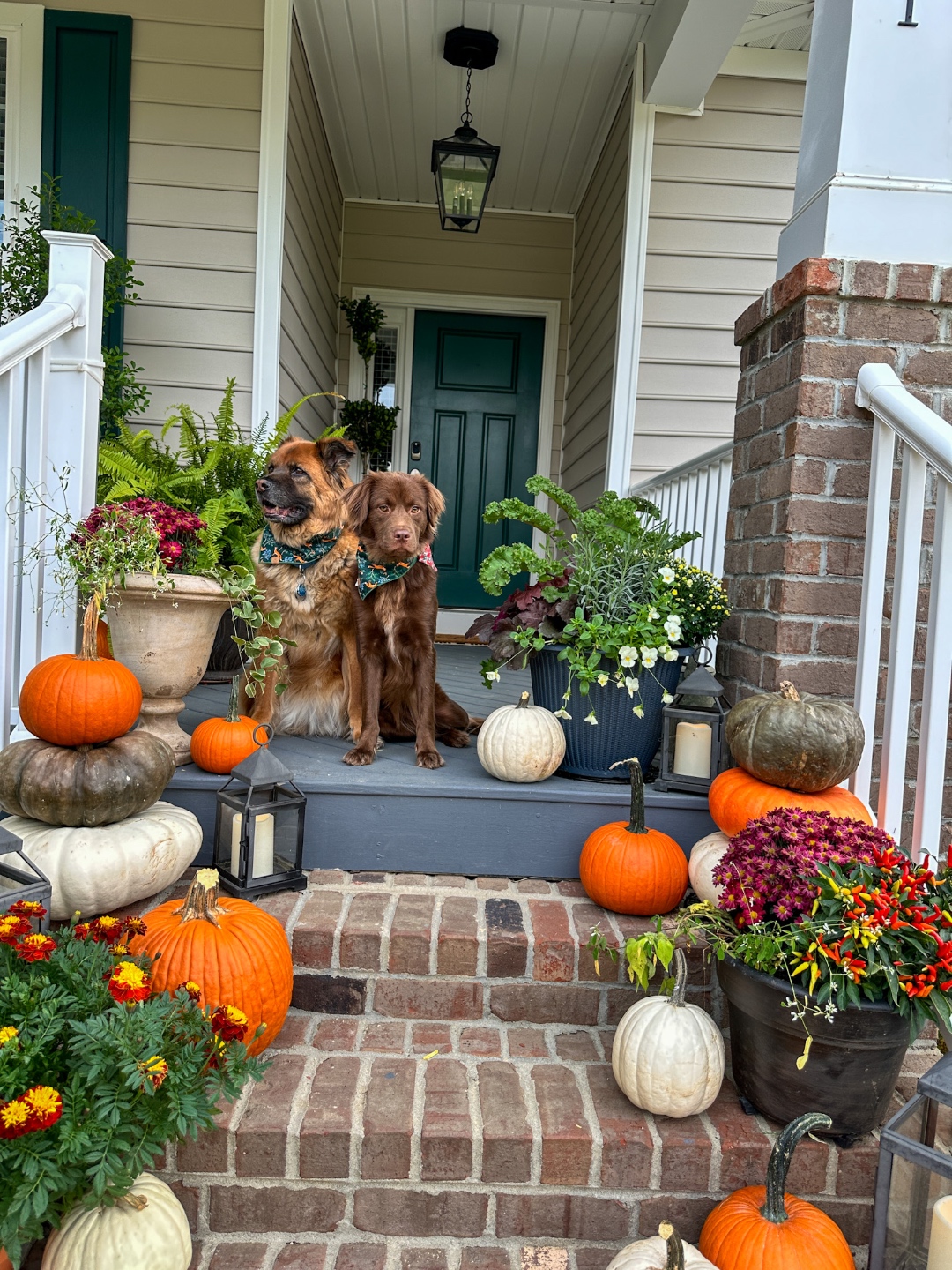 Fall Front Porch Tips Fall Front Porch Tips with Fairview Garden Center