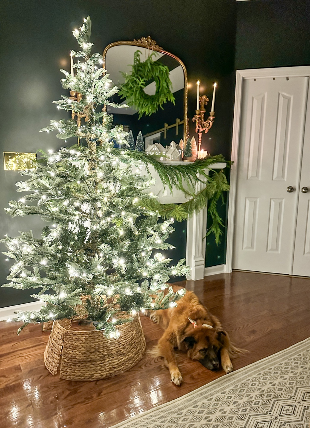 King of Christmas Tree Review