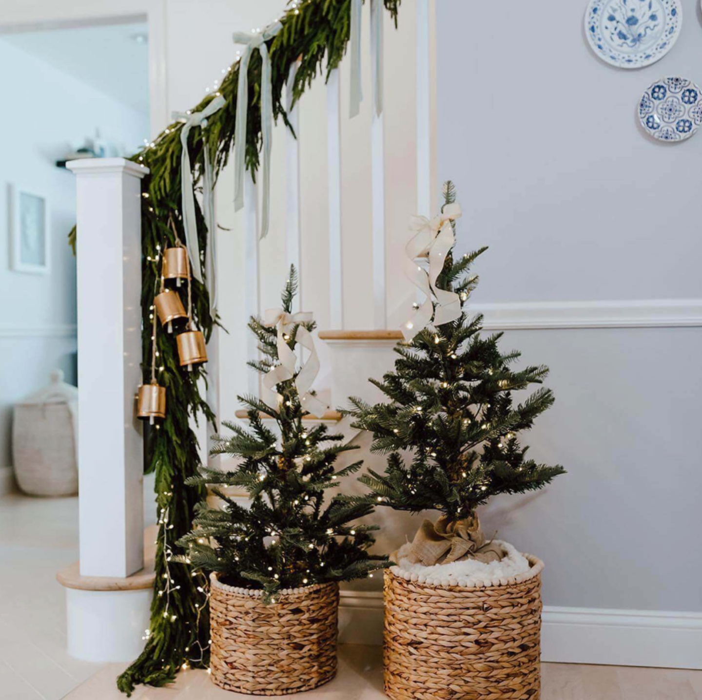 King Noble Fir Tabletop Tree