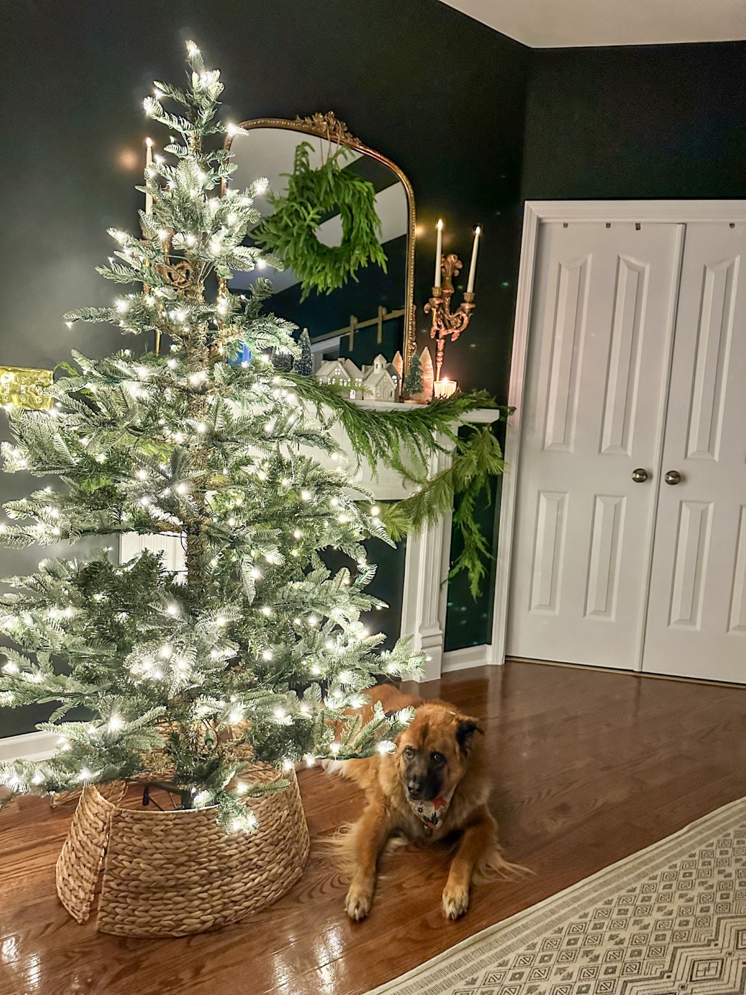King of Christmas Tree Review