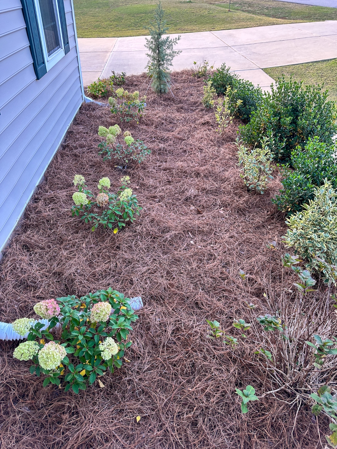 fall landscaping tips Adding Curb Appeal with Fairview Garden Center