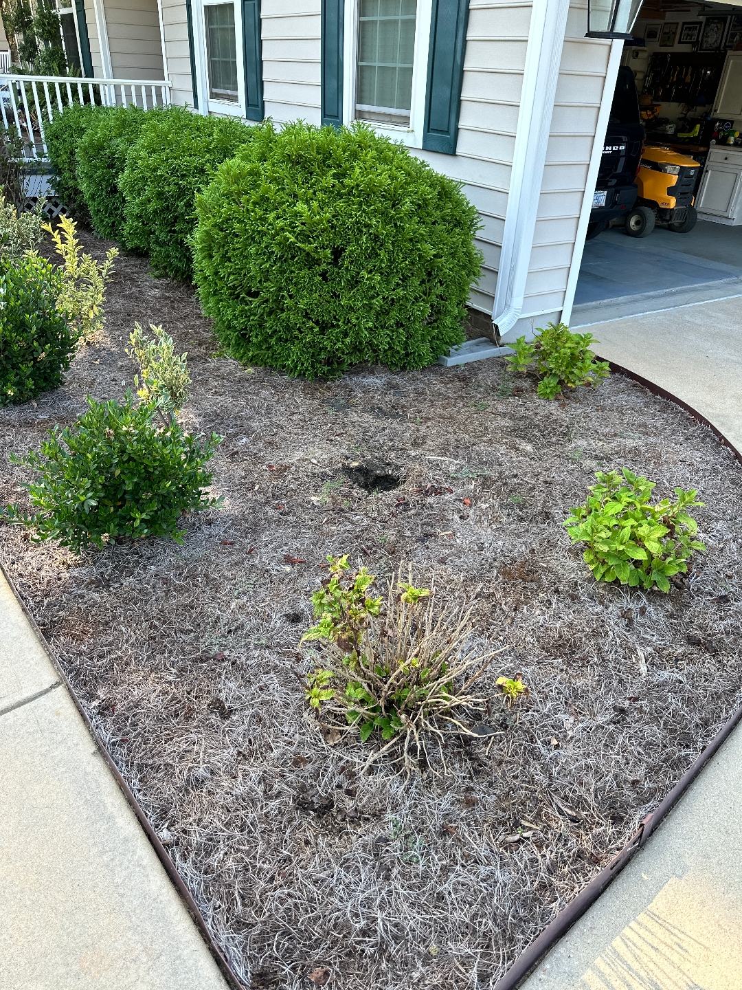 Before Fall Landscaping Before Fall Landscaping