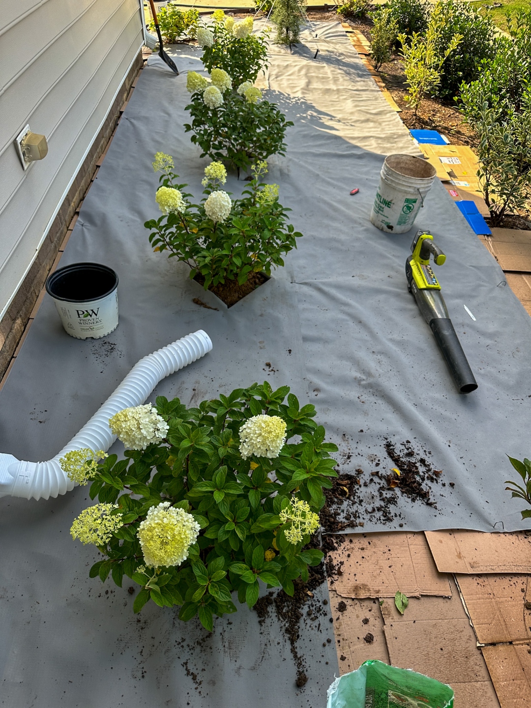 fall landscaping Adding Curb Appeal with Fairview Garden Center