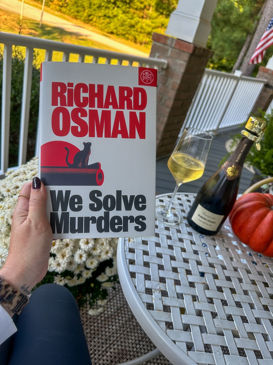 We Solve Murders We Solve Murders