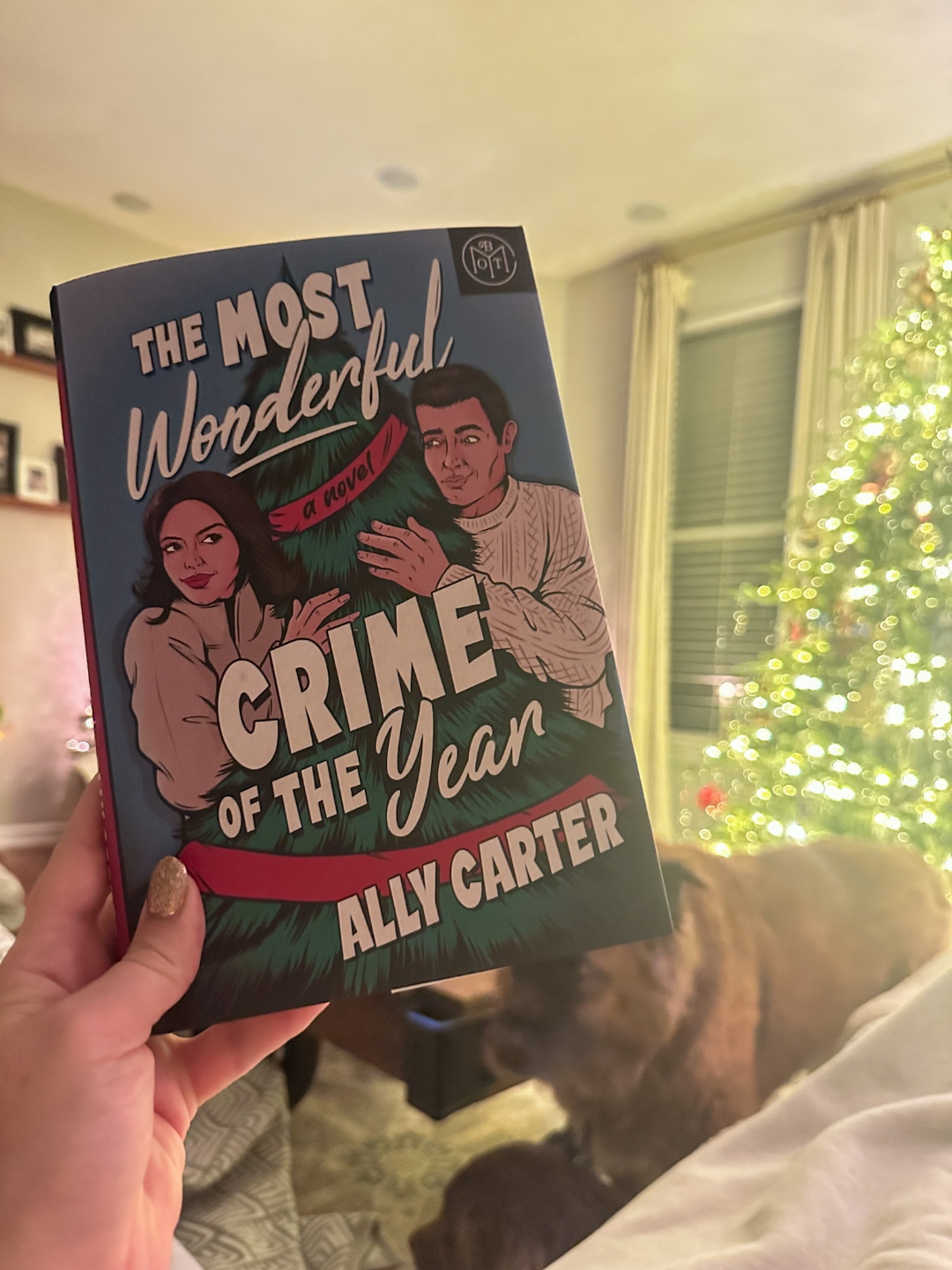The Most Wonderful Crime of the Year The Most Wonderful Crime of the Year | Everything I Read in December 2024