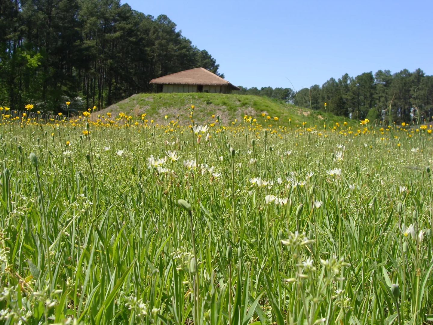Town Creek Indian Mound