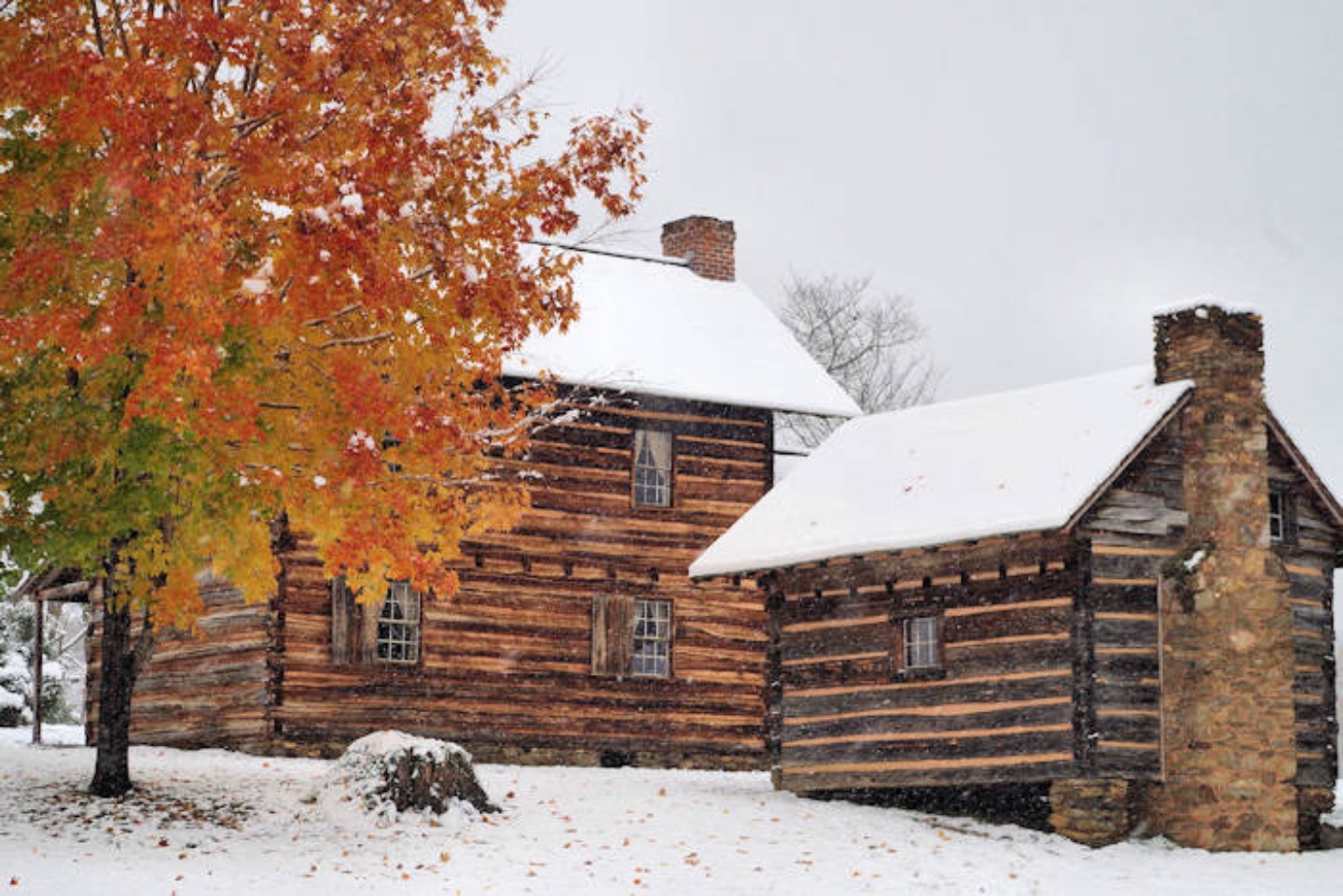 Vance Birthplace